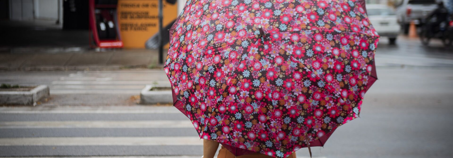 Quadra chuvosa: Cagece alerta para cuidados que a população deve ter neste período chuvoso