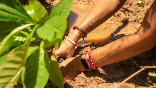 Cagece e Sema realizam plantio de mudas no Parque das Águas em alusão ao Dia Mundial da Água