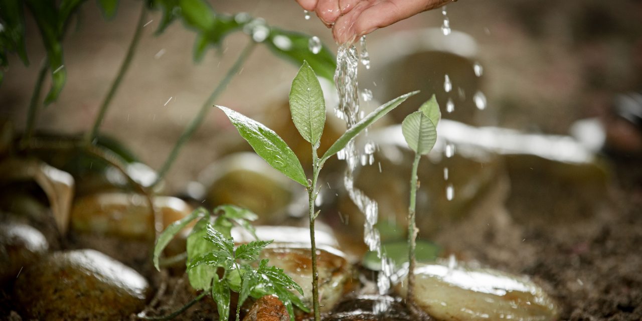 Sustentabilidade: Cagece renova compromisso com Pacto Global das Nações Unidas