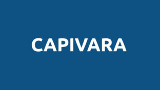 Capivara