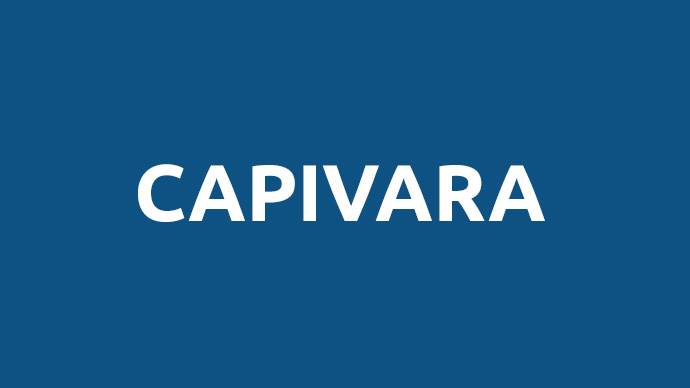 Capivara