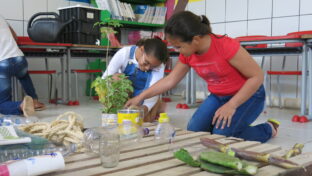 Cagece incentiva educação ambiental e cuidado com recursos hídricos em Jericoacoara