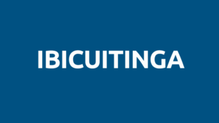 Ibicuitinga