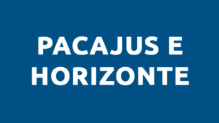 Manutenção Programada