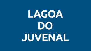 Rascunho automático