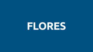Flores