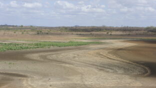 Área sem seca relativa no Ceará volta a crescer em fevereiro, mas situação dos açudes ainda é crítica