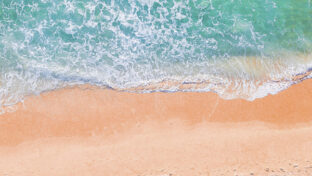 Governo do Ceará e Cagece assinam ordem de serviço para usina de dessalinização da água do mar em Fortaleza