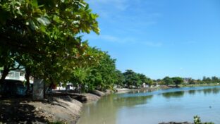 Cagece realiza mutirão para limpeza da Lagoa do Opaia