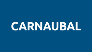 Carnaúbal