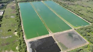 Cagece planeja tratar esgoto com Soluções Baseadas na Natureza