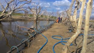 Cagece desenvolve plano proativo de gestão de secas e coloca o Ceará na vanguarda nacional no âmbito de abastecimento