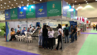 Cagece na Bienal do Livro: stand reúne conhecimento e tecnologia