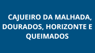 Paralisação Emergencial