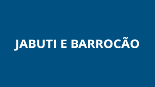 Paralisação Emergencial